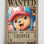 فوم برد Chopper wanted