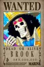 فوم برد Brook wanted - تصویر 4